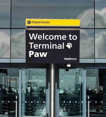 Heathrow welcomes passengers to renamed ‘Terminal Paw’, marking the return of its beloved bears