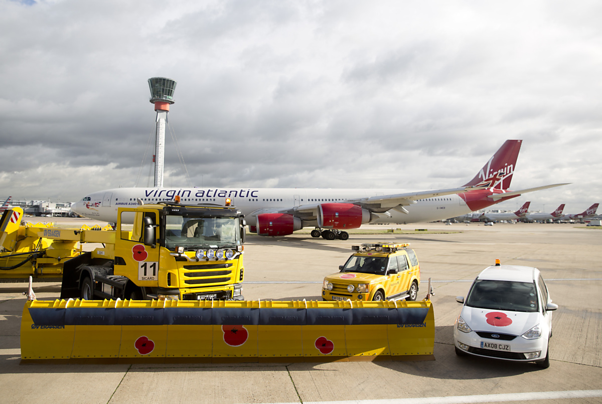 Download Image - Heathrow's Poppy Tribute picture