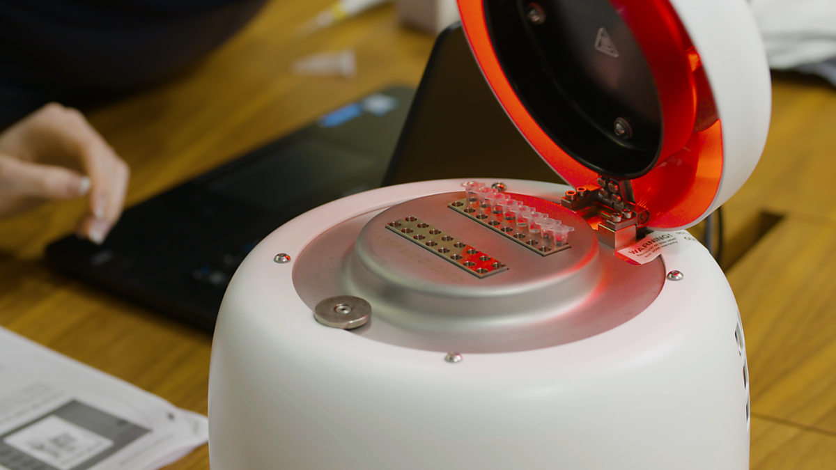 Download Image - Rapid Testing GeneMe LAMP picture