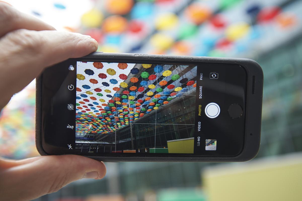 Download Image - Umbrella Project launches at Heathrow picture