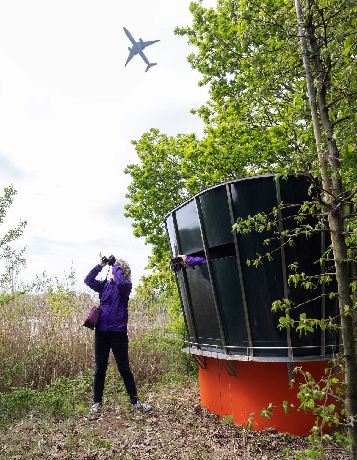 Download Image - Heathrow Nature 5 picture