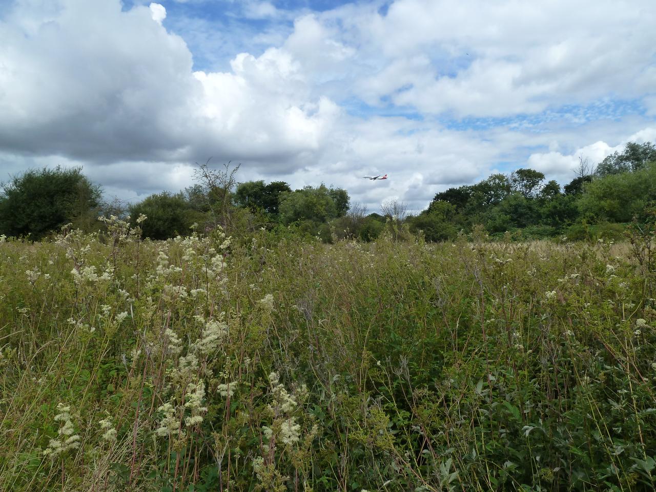 RS545 Crane Meadows (credit Mathew Frith) (4)