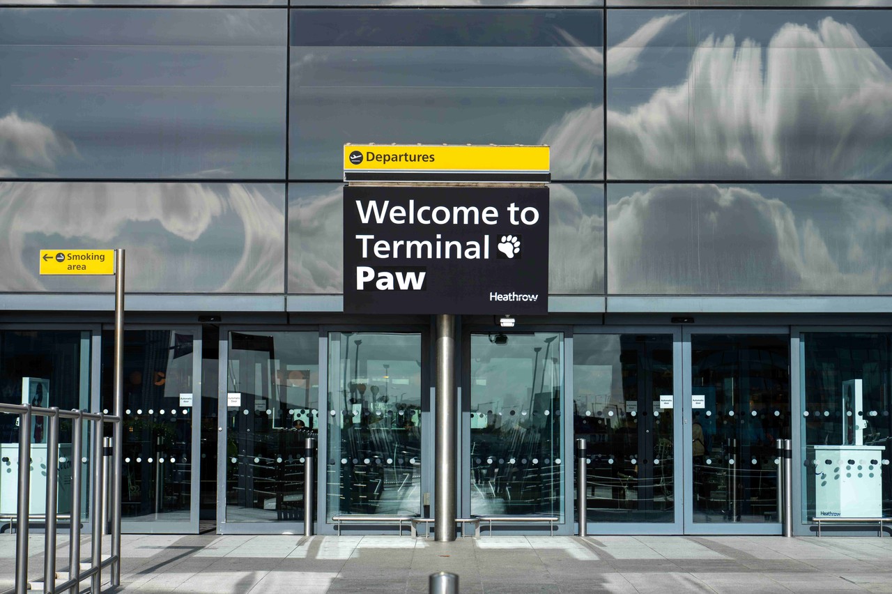 Heathrow Terminal Paw 2