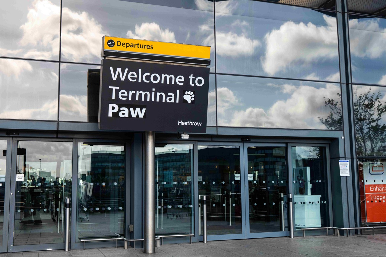 Heathrow Terminal Paw 3