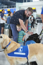 Guide Dogs at Heathrow
