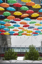 Umbrella Project launches at Heathrow