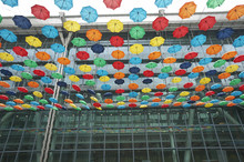 Umbrella Project launches at Heathrow