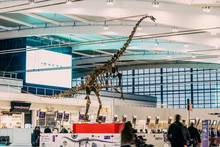 Super-size check-in at Heathrow this Spring