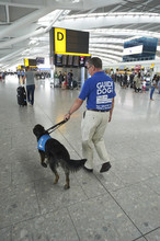 Guide Dogs at Heathrow