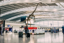 Super-size check-in at Heathrow this Spring