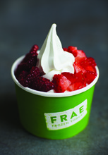 FRAE Frozen Yoghurt Pop up, T5