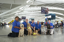 Guide Dogs at Heathrow